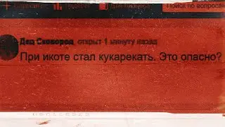 Задаю ваши вопросы в Mail.ru | ВАШИ КОММЕНТАРИИ 11