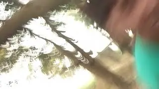 Lungi dance