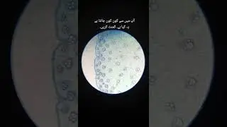 microscope  | biology | science | metric