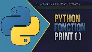 Votre premier programme Python: Fonction print()