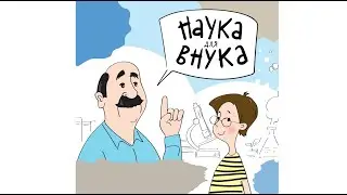 Шишка-гигрометр