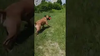 Прогулка 2 часть.