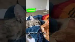 Вот так бывает