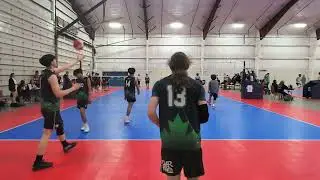 vs bco