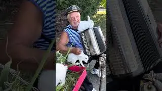 Дед Мазай и зайцы в Анапе😅💥