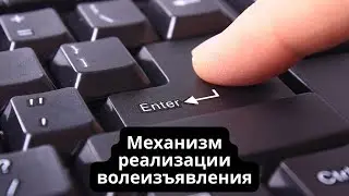 Механизм реализации волеизъявления