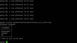 MySQL scripts execution (Vlad Taushan)