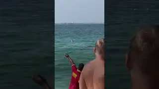 Squalo a riva – si salvi chi può! 😱🦈 