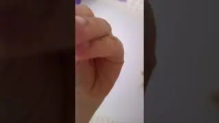 6 мая 2023 г.