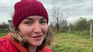 Красные помидоры и малина в конце октября в Калининграде. Погода супер!