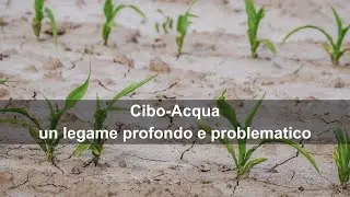 Cibo-Acqua: un legame profondo e problematico