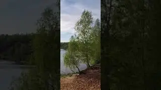 Барские пруды Фрязино