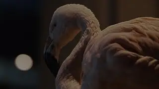 Hurts - Somebody (Official Video)