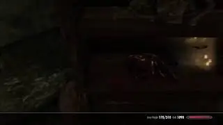 Collection | Skyrim