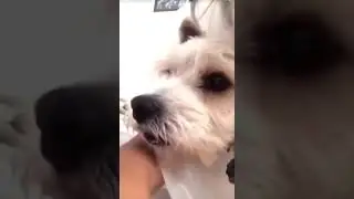 Ох уж этот взгляд