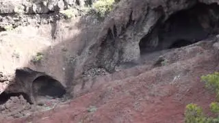 La Gomera: Wanderung Valle Gran Rey - Lecheweg - Las Pilas - Tequergenche - Cerrillal - VGR