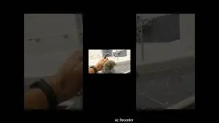 Котёнок не хочет в ванну