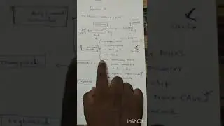 Fl studio mobile |Tutorial 1 in Tamil|Theory| Sound Engineering|