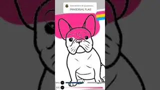 Turning this french bulldog into pride flags pt3 