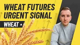 Don't Miss Out On 30% Move - HUGE Signal on Wheat