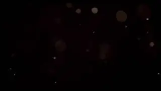 *FREE* 