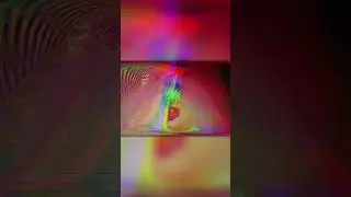 Койоты Против Кошек