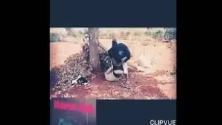 hhhh so very much funy 