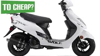 Should You Buy A Chinese Scooter Versus A Top Name Brand Scooter? 