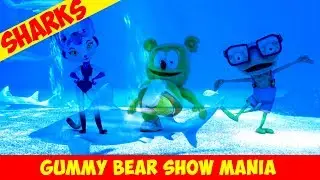 Gummy Bear Show Theme Song (SHARK WEEK Special) - Gummy Bear Show MANIA