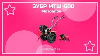 Обзор мотоблока ЗУБР МТШ-600 от Техсовет