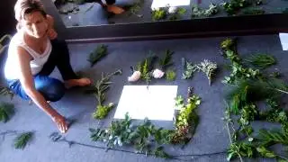 Обучение   Ландшафтный дизайн  по скайпу или в Кемерово лично