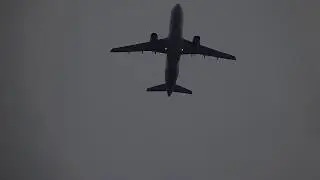 Allegiant Air Airbus A320 [N229NV]
