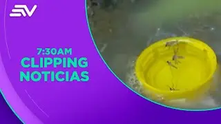 Aumento de casos de dengue en Guayaquil, Durán y Samborondón | Televistazo | Ecuavisa