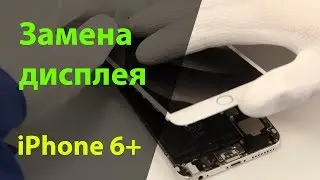 Замена дисплея на iPhone 6 Plus