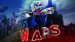 THE TWEET DARE CHALLENGE IN HYPIXEL SKYWARS (HILARIOUS)