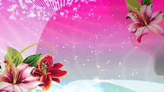 футажи для видеомонтажа hd
