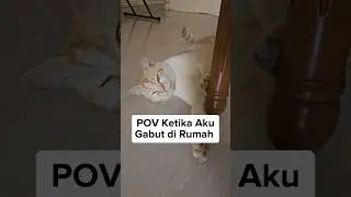 POV Ketika Aku Gabut di Rumah 