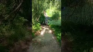 велодорожка от алисы