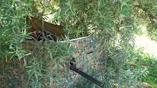 Reclamo de perdiz en Córdoba