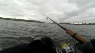 Pike fishing in Kamskiye Polyany (Tatarstan). October 4, 2016