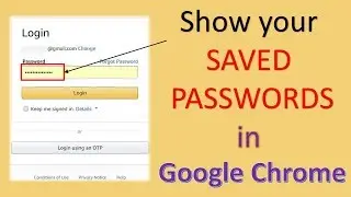How to Show Saved Passwords in Google Chrome