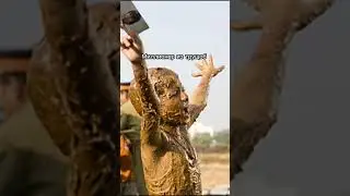 Сотрите мне память