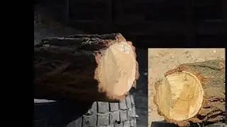 Стрельба по полену