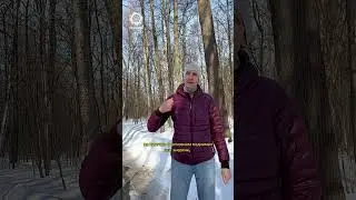 Образ Будды