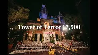 Disney Weddings |  Hollywood Studios /  Animal Kingdom