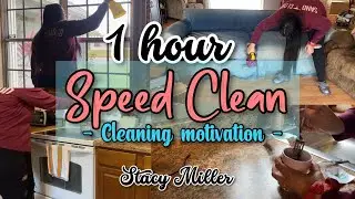 SPEED CLEAN | CLEANING MOTIVATION | Stacy Miller