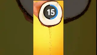 30 Seconds Countdown | Coconut Timer | #shorts #minutes #countdown #timer #silent #alarm
