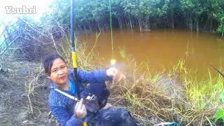 Lais Fish Season