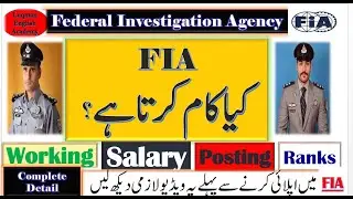 What is FIA working? What is FIA salary ranks facilities? FIA all information FIA jobs 2022 FIA jobs