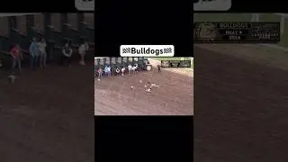 Bulldogs are racing again #Shorts #FYP #GoViral #DogLover